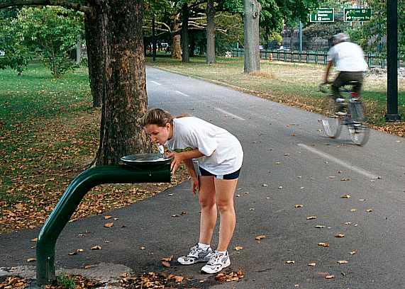 004_1Water fountain.jpg (45471 bytes)