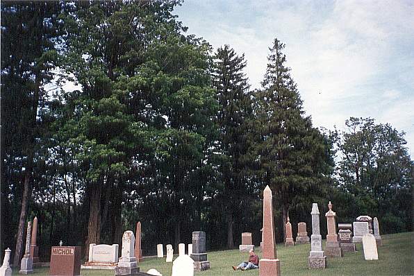 p93David in Cemetery.jpg (61612 bytes)