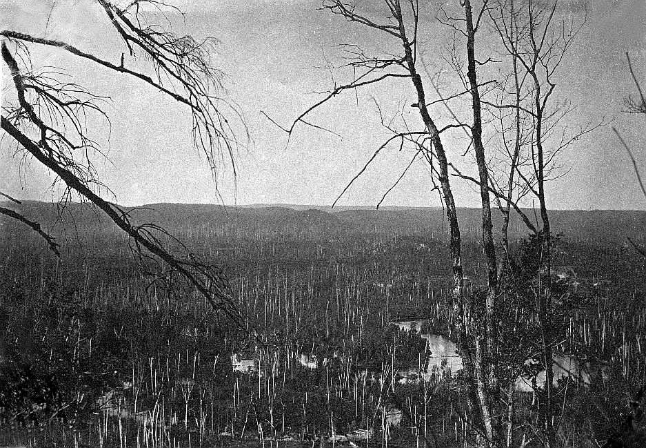 Oxtongue River with dead trees retouched.jpg (156076 bytes)